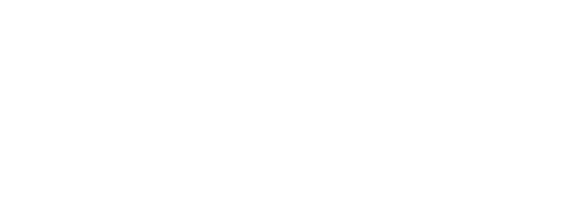 PARTY MOJO logo